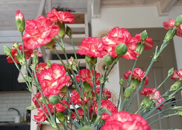 Vakantiehuis Izbicki Zakatek- Izbica Nad Jeziorem Lebsko Speck